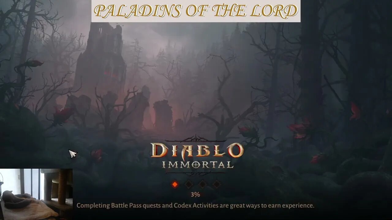 Diablo Immortal - 45