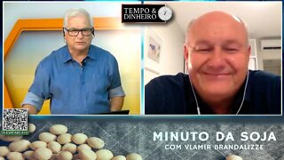 Milho segue comprador nos portos