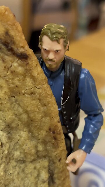 Nothing Like a Cookie after a Busy Day