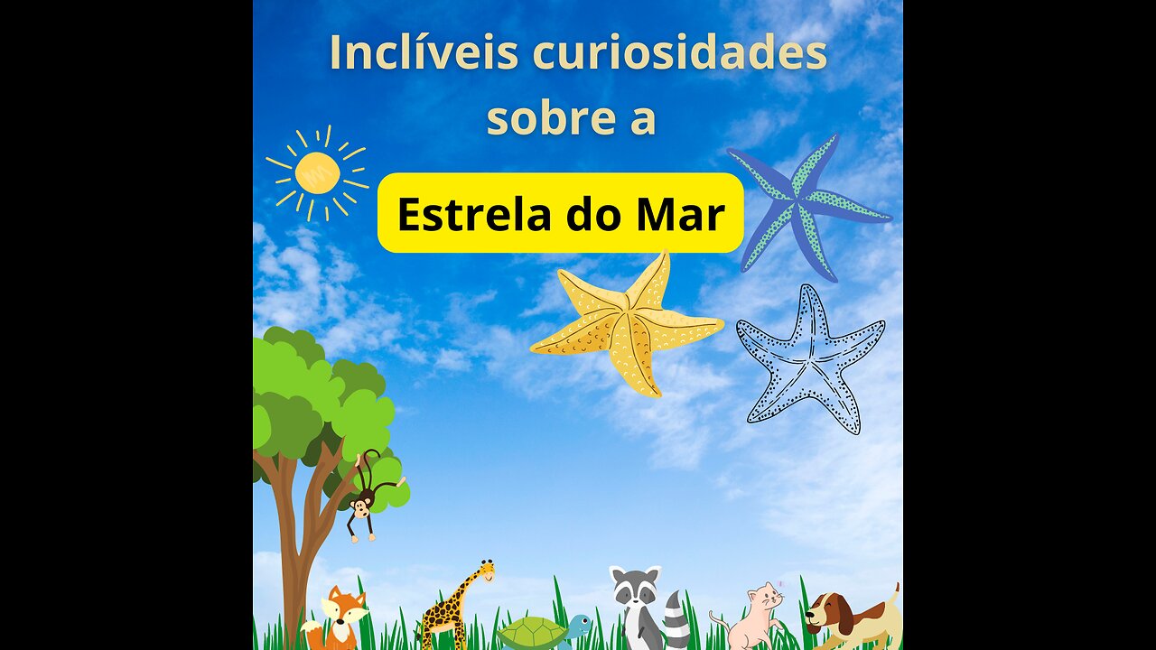 Incríveis curiosidades sobre as Estrelas do Mar