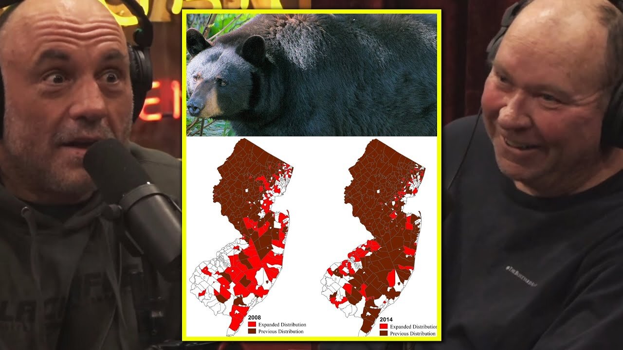 Joe Rogan: 'LIFE & PROPERTY' The DANGERS of Black Bear Overpopulation