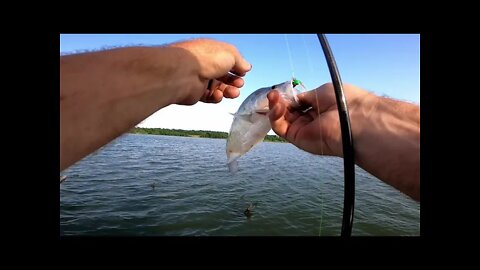 Post spawn crappie, crappie on jigs, jigging timber for crappie