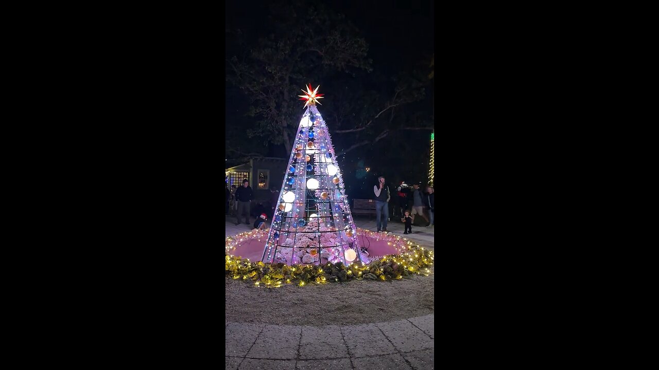 We Three Kings of Orient Are Performed On The Trumpet