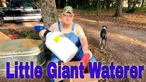 Little Giant 7 Gallon Plastic Poultry Waterer