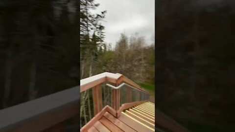 Tall lookout at Bubbling Springs trail