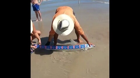 Boom! A beautiful day of fishing on the beach with Shark fish in Florida