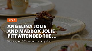 Angelina Jolie and Maddox Jolie Pitt attended the White House State dinner last night.