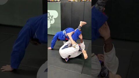 Gi Ankle Lock from Reverse X Guard #bjj #jiujitsu #nogi