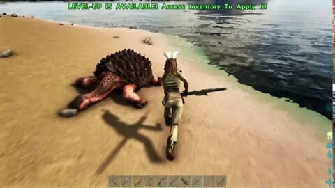 Taming The Crew