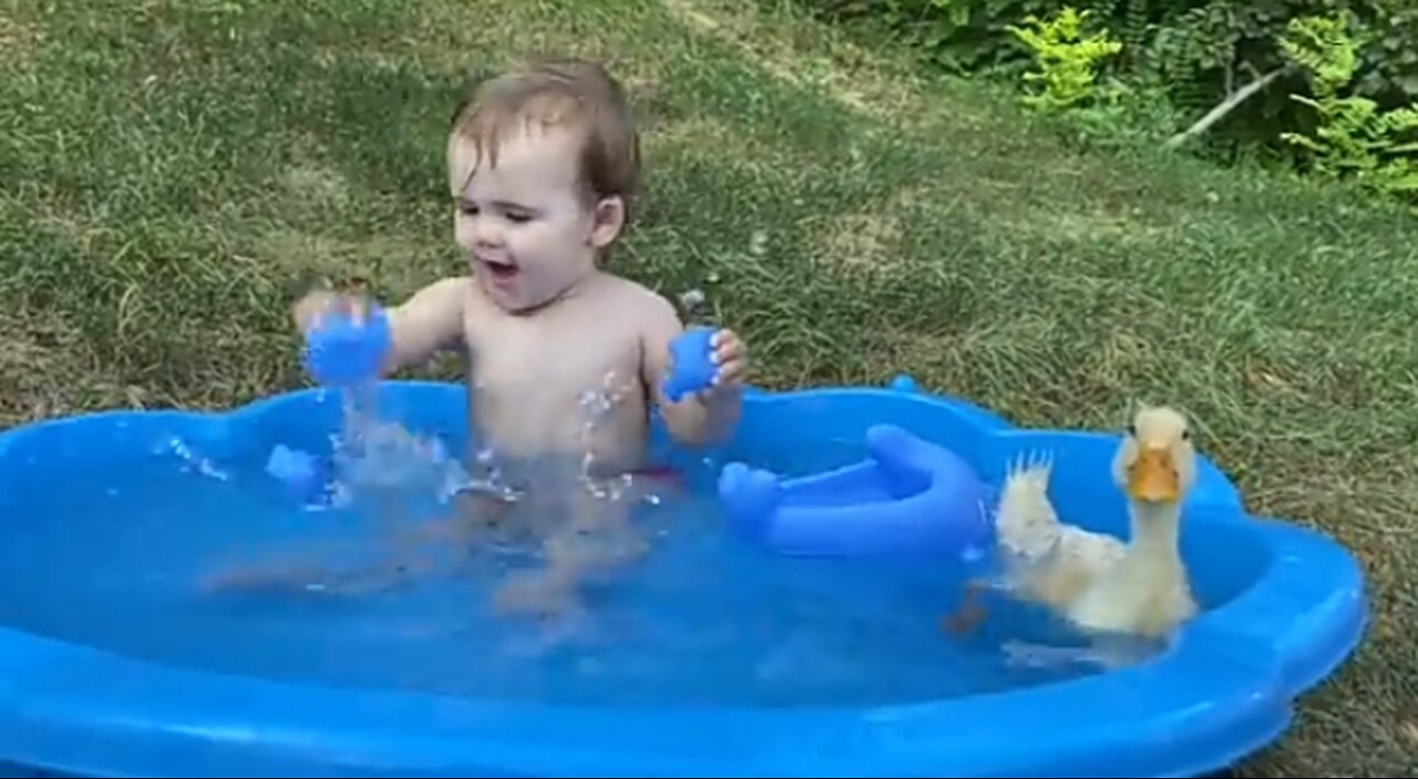 Funny baby reaction to duck in the pool