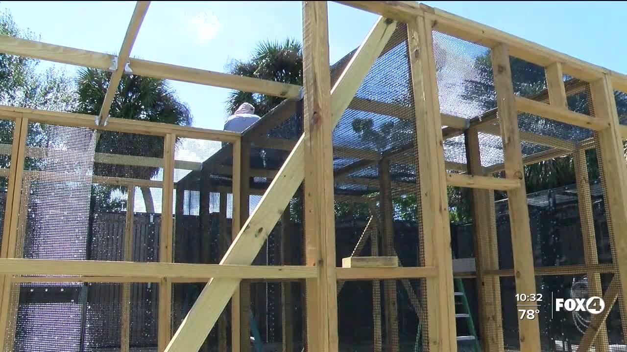 New wildlife cages being built at PRWC