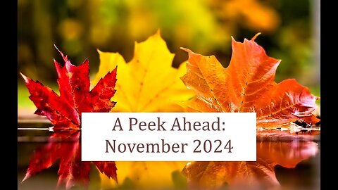 A Peek Ahead: November 2024