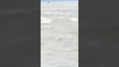 Kid Drowning in a river infested with crocodile 🐊 #rescue #flood #viral #india