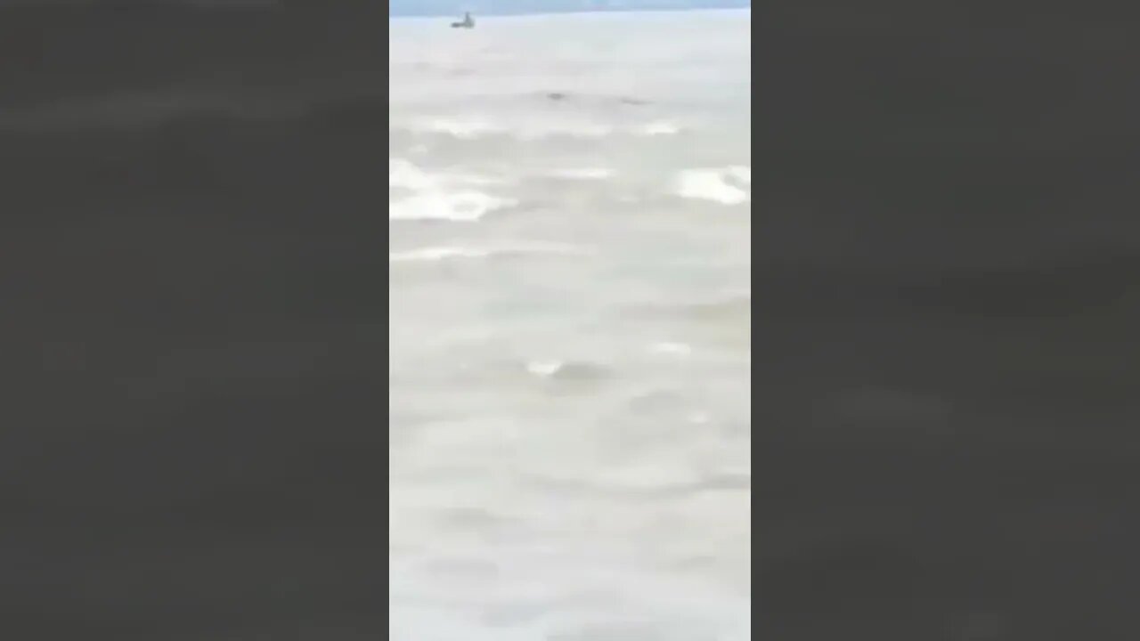 Kid Drowning in a river infested with crocodile 🐊 #rescue #flood #viral #india