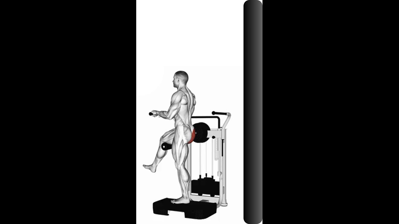 Lever Standing Rear Kick Exercise.
