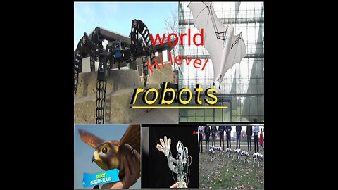 The Most Pervasive Problems In Top Level Robot.😯