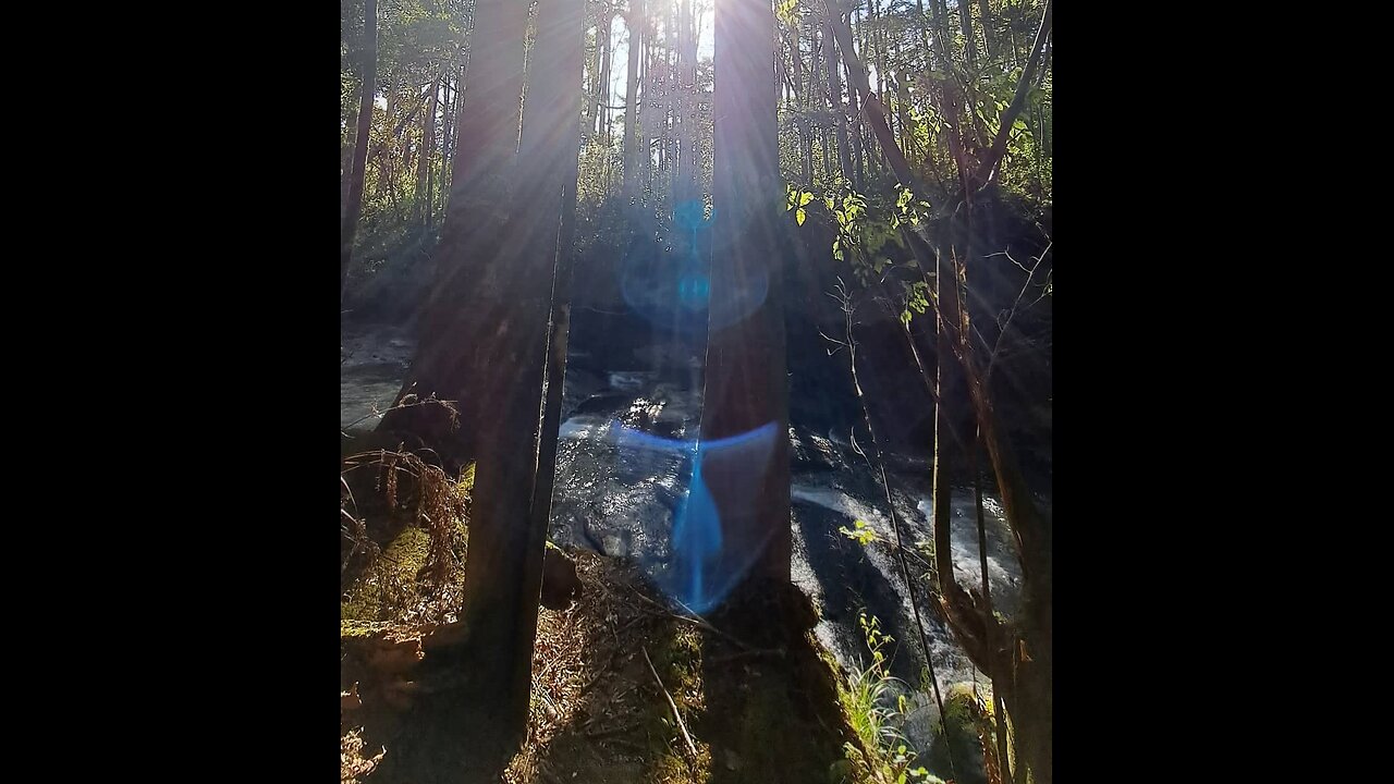 Blue Light Celestial Beings on the Mahurangi River New Zealand