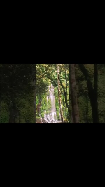ASIK-ASIK FALLS #short
