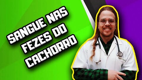 Sangue nas fezes do Cachorro: o que pode ser? | Dr. Edgard Gomes | Alimentação natural para Cães