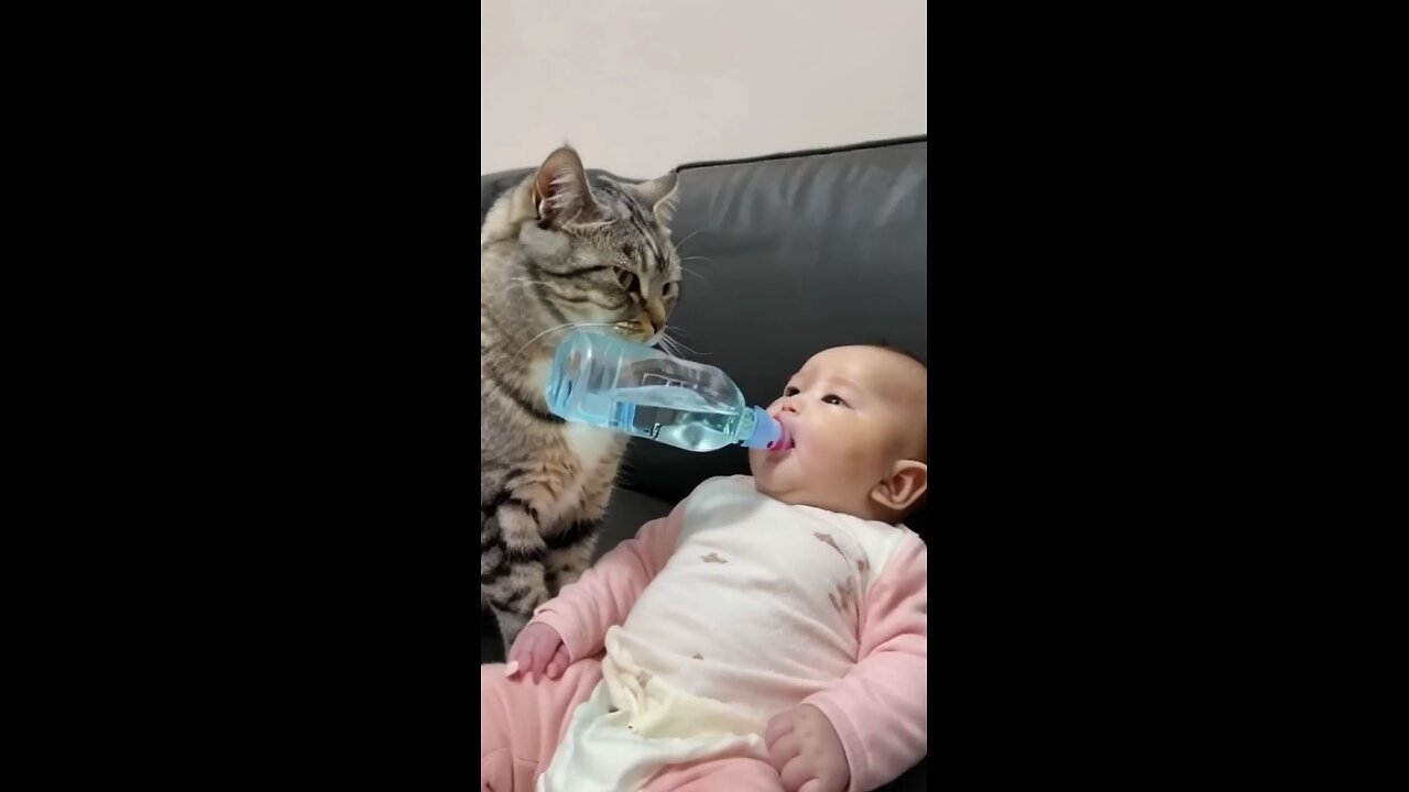 cat and baby love