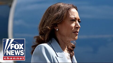 Harris surrogate admits she felt 'misled': 'Billion-dollar disaster'