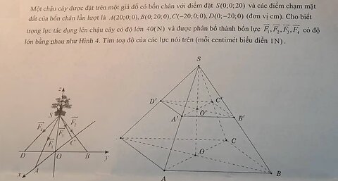 Một chậu cây được đặt trên một giá đỗ có bốn chân với điểm đặt S(0;0;20) và các điểm chạm