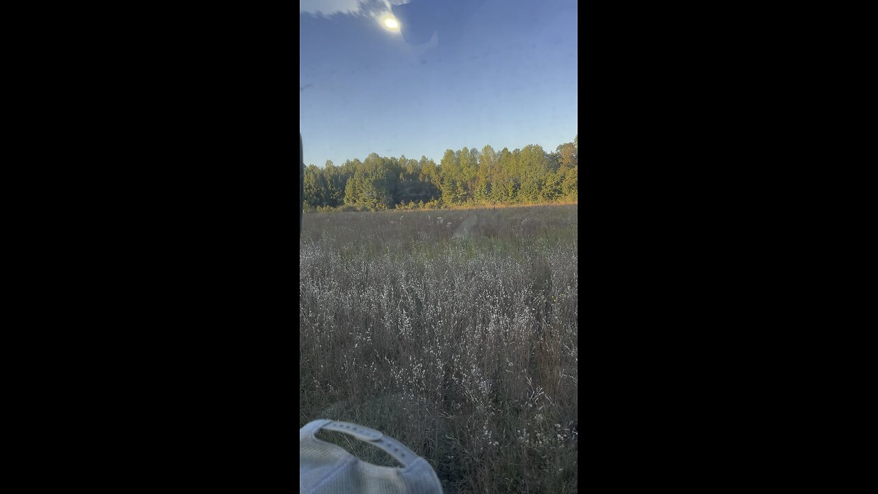 Brush cutting the Farm