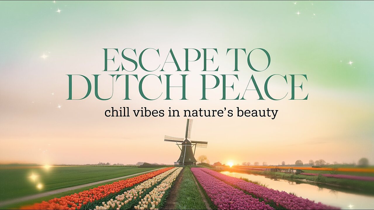 Escape to Dutch Peace: Chill Vibes in Nature’s Beauty