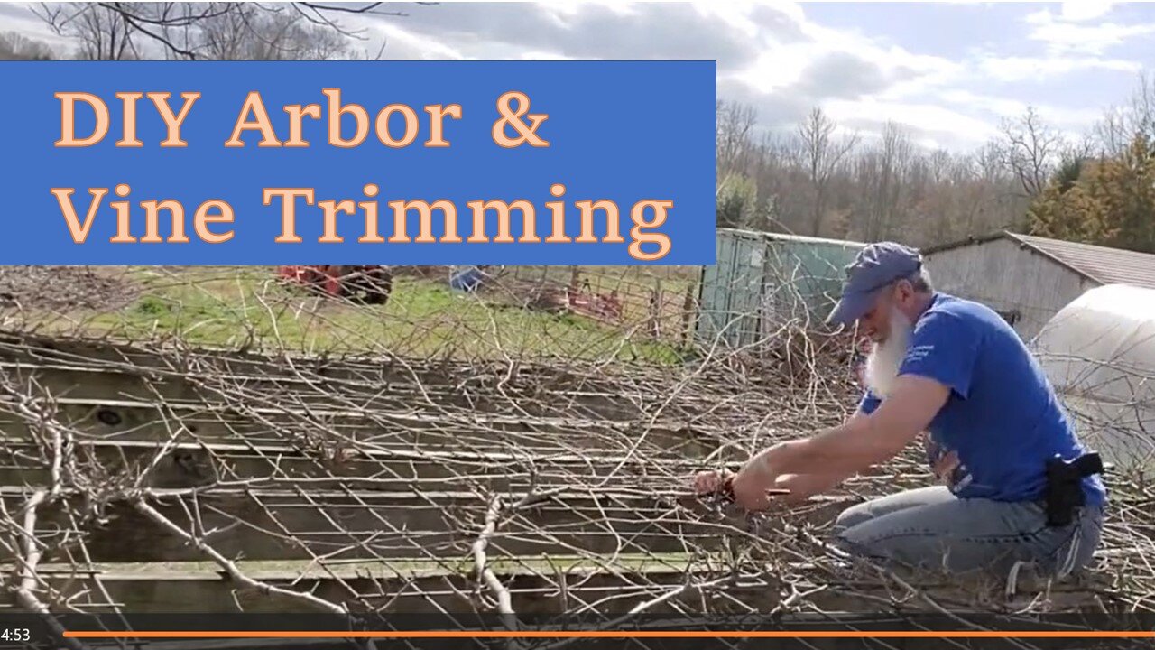 DIY Arbor and Vine Trimming. Excellent homestead addition.