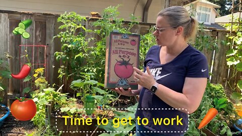 Garden time with Mrs. hedgehog