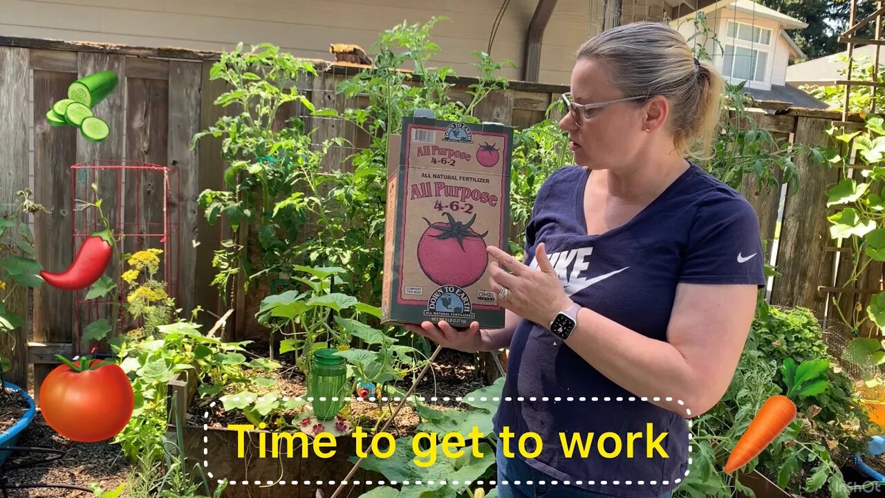 Garden time with Mrs. hedgehog