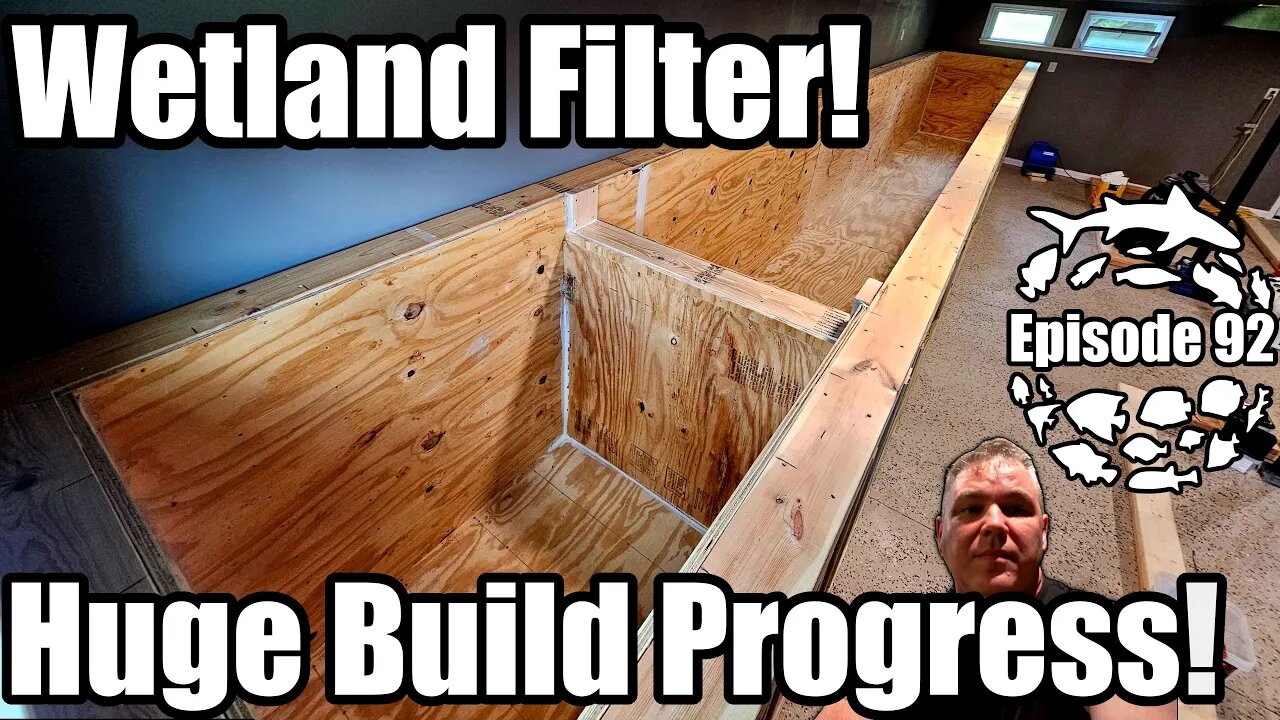 Huge 4,500 Gallon DIY River Aquarium Build Progress and Wetland Bog Filter Build!