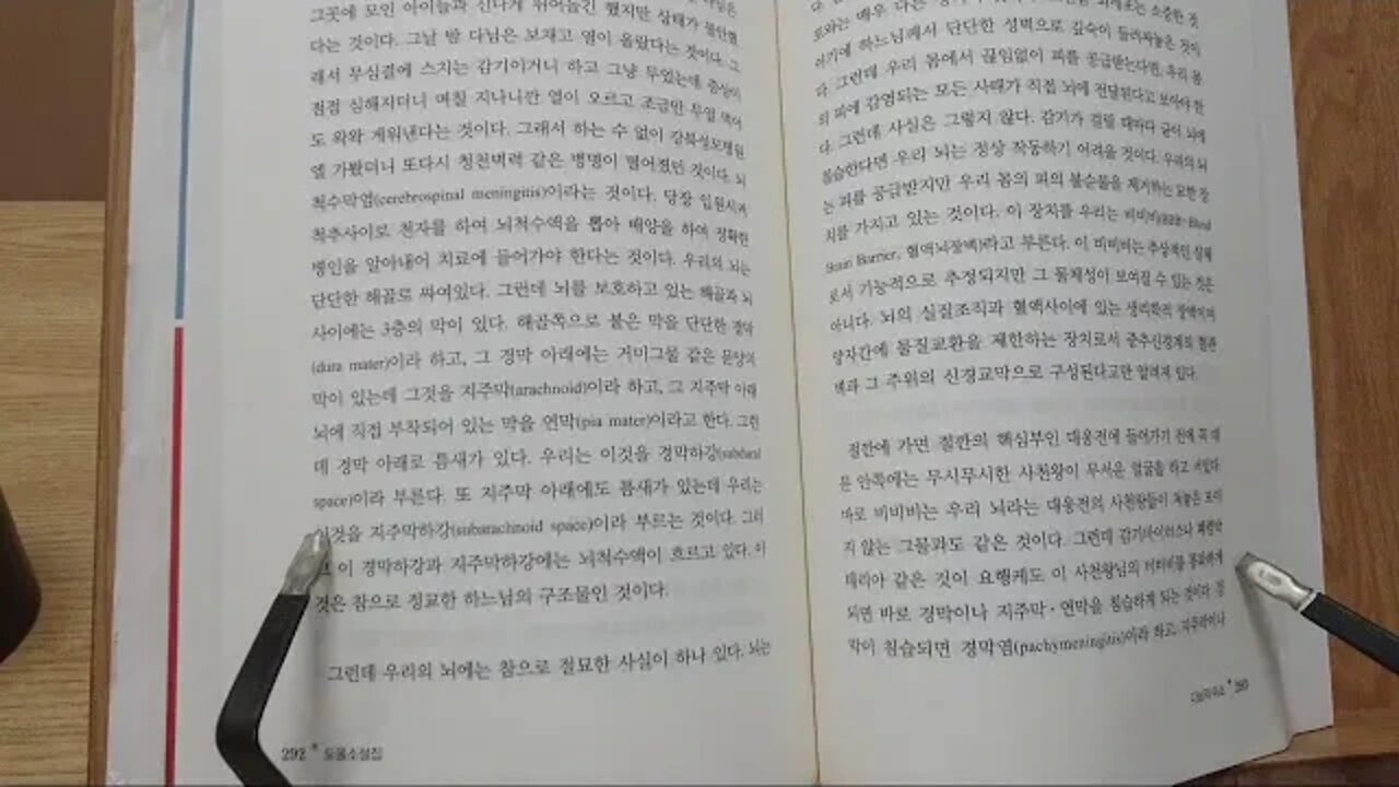 슬픈 쥐의 윤회, 책읽기, 도올, 김용옥, BBB, 혈관뇌장벽, 구토, 바이러스성, 체질침, 뇌척수막염을 침으로 고친 사례, 다님의 미소, 철학적 대설, 구라, 픽션, 새로운 모험