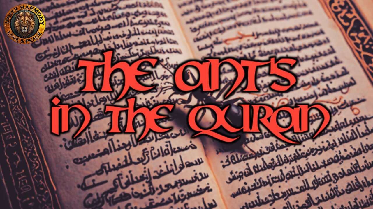 PROPHET SOLOMON (AS) AND THE ANTS!