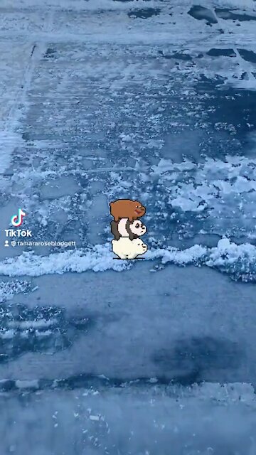 #walker #tamararoseblodgett