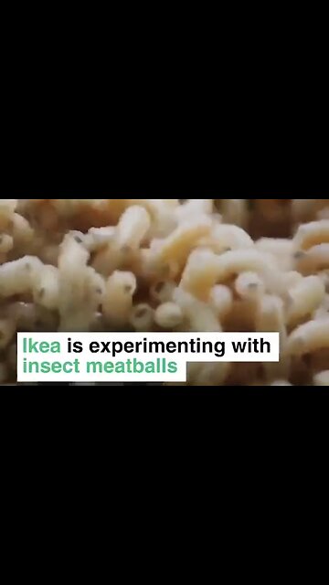 IKEA’s ‘NEATBALL’: The ‘Mealworm Meatball’ Alternative