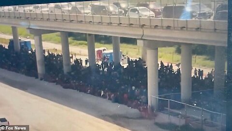 ‘An Absolute Catastrophe’ Drone Footage Shows 100's of Migrants Under Bridge in Texas!