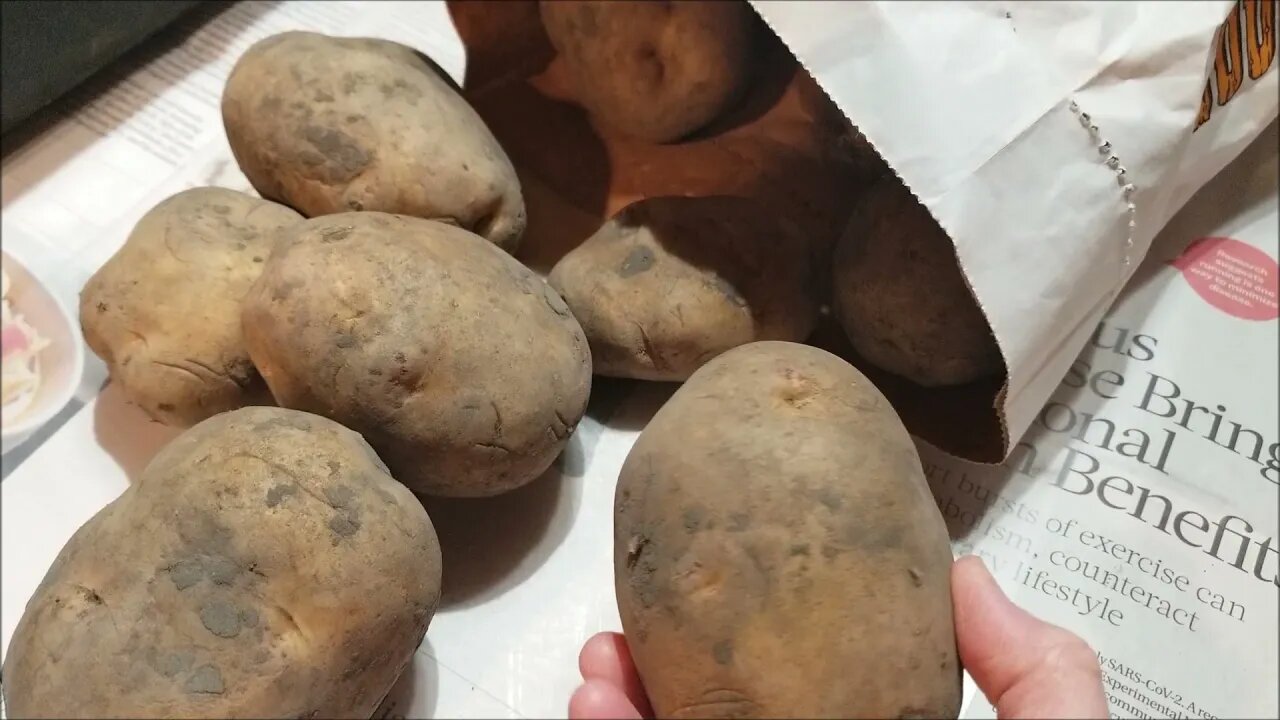 Prepping Seed Potatoes 3-23-21