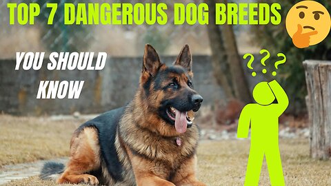 Top 7 most dangerous dogs breeds | You don't know