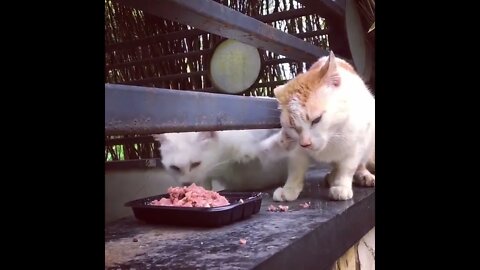 Me only, none for you!
