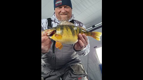 Perch pounding on Cascade Lake, Idaho!