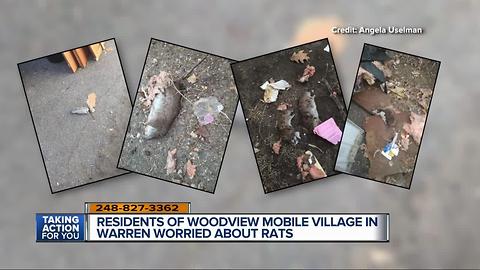 Residents of Woodview Mobile Village in Warren worried about rats