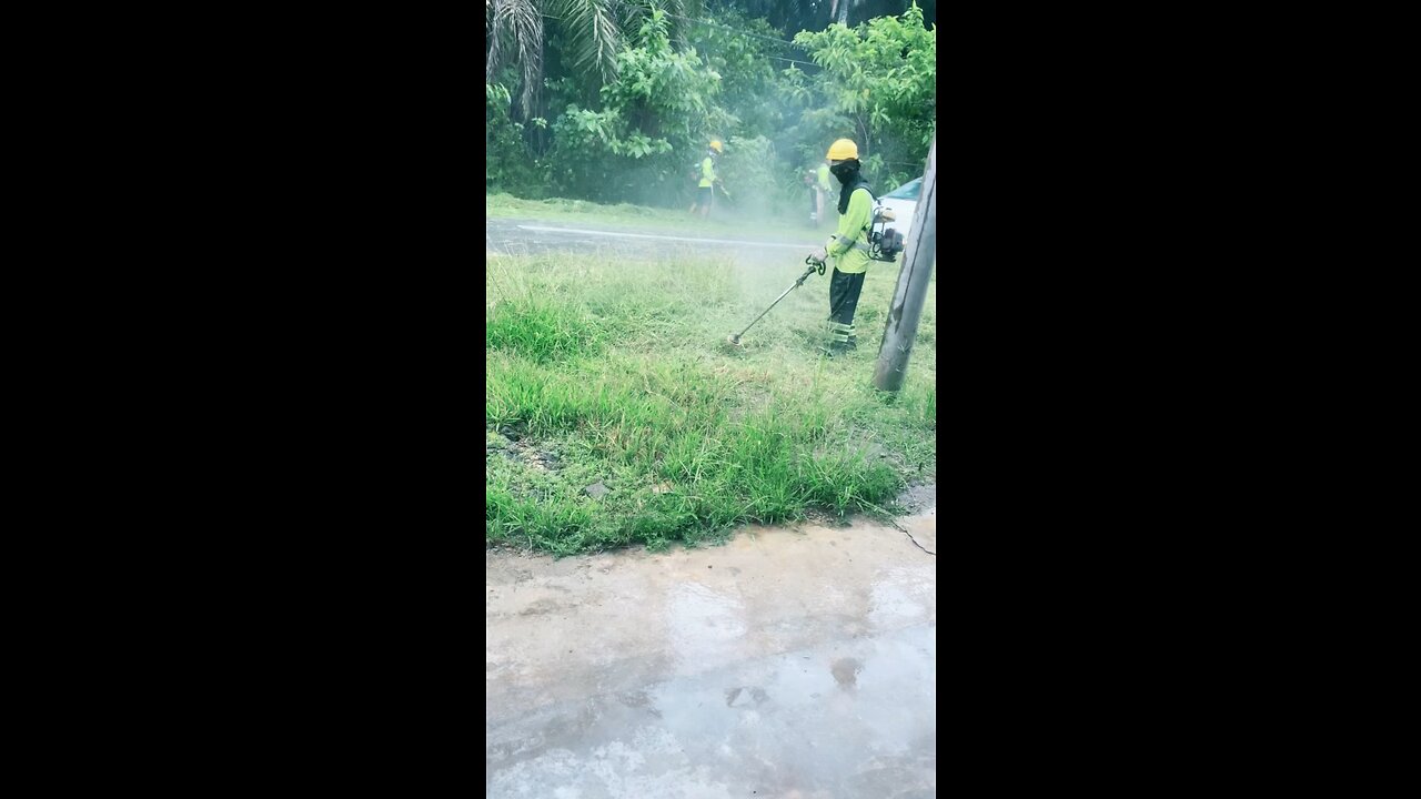 The worker cutting the grass.