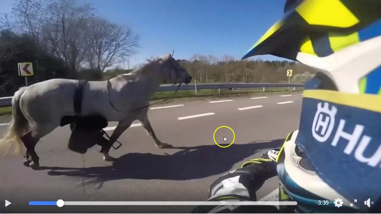 Motorcycle Catches Loose Horse - Takes Longer Because He Doesn't Understand DriveLine Of Horses