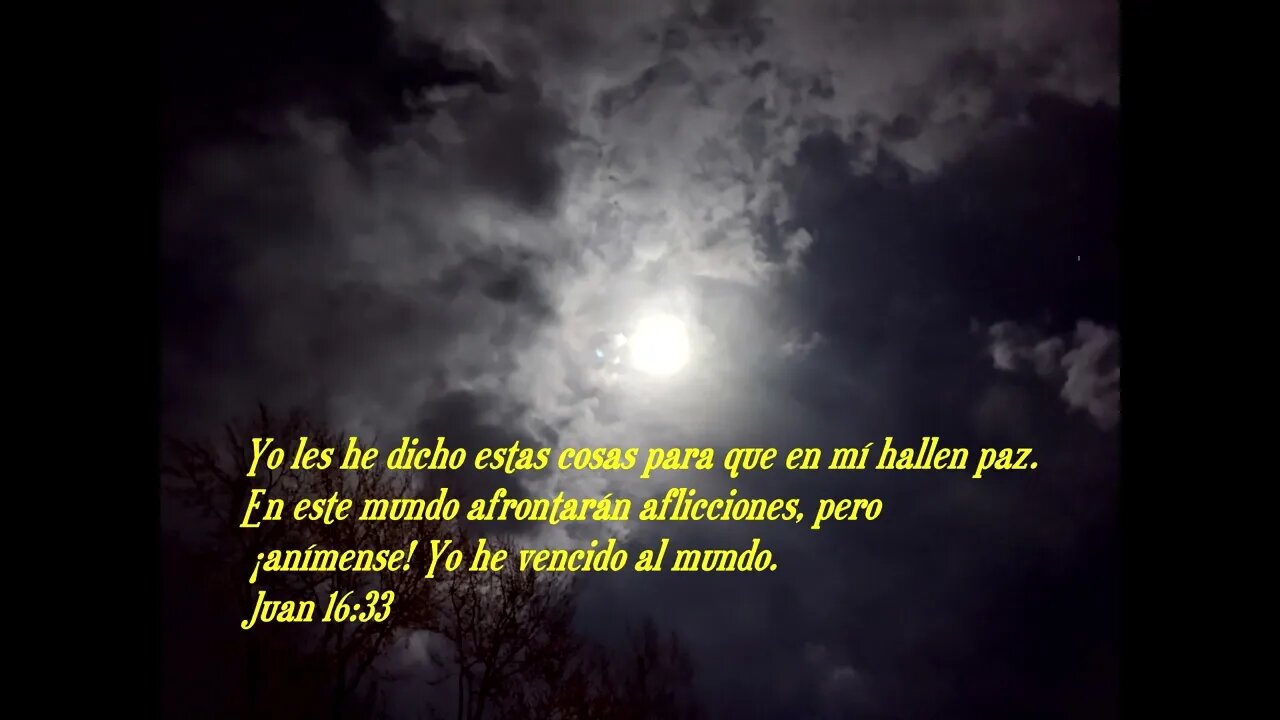 Versículo bíblico diario para hoy