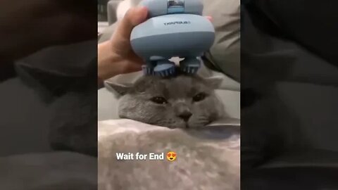 This massage is so relaxing!