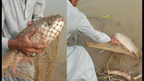 Fishing Videos funny in Pakistan 2019