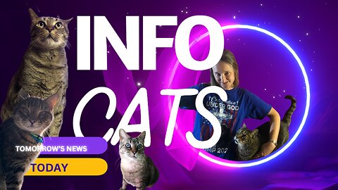 InfoCats Intro Episode