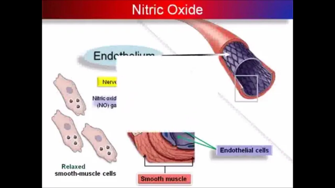 L Arginine and Nitric Oxide and Heart Disease