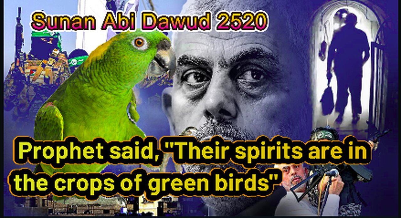 Breaking news: Yahya Sinwar has now become a green bird according to Islam | Malay Subs |